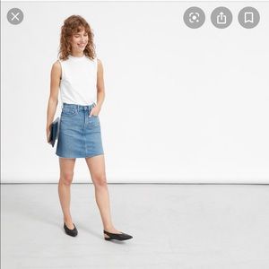 Everlane Denim Skirt 27